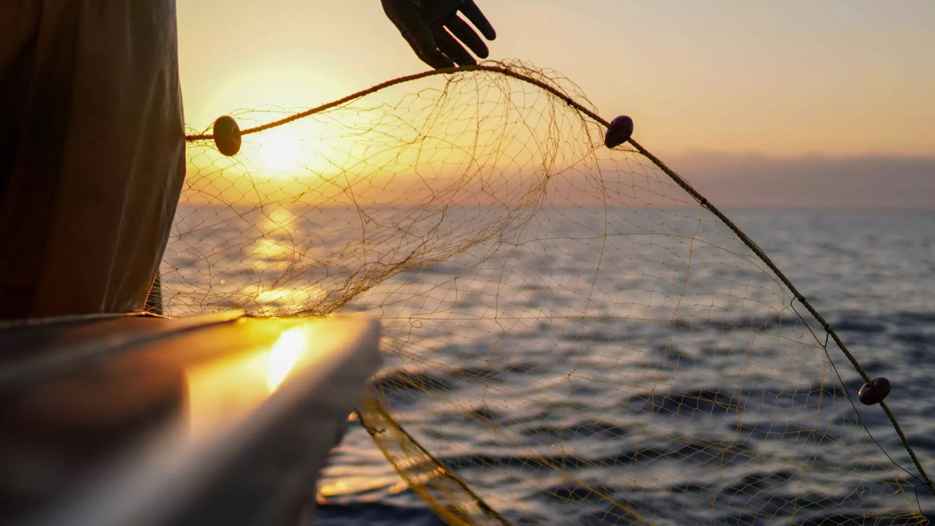 CLIMA E PESCA ][ El Niño-Oscilação Sul pode aumentar ou reduzir a pesca no Atlântico, dependendo da região